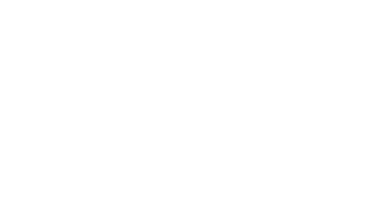 DenisGiuffreContent Logo_icon top white